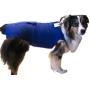Surgi Snuggly E Collar Alternative, Created By A Veterinarian Specifically to Fit Your Dog, X-Large Long