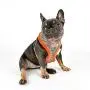 Puppia Auden Harness A Puppia Auden Harness A