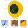 Pet Frisbee Flying Disc Dog Toy - Multifunction Nocturne in Black and Gold The Falling Rocket James Abbott McNeill Whistler
