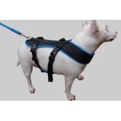 Bikejoring Dog Harness Black