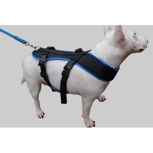 Bikejoring Dog Harness Black