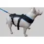 Bikejoring Dog Harness Black Bikejoring Dog Harness Black