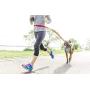 Stunt Puppy Go Dog Glo Harness, Large, Blue