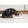 Sure Petcare - SureFeed - Motion Activated Sealed Pet Bowl Sure Petcare - SureFeed - Motion Activated Sealed Pet Bowl
