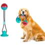 Qamou Dog Chew Toys,Suction Cup DogToy, Dog Ball with Suction Cup,Chewers Toothbrush,Pet Molar Bite, Small Medium Dog Rope Toys Puppy Teeth Cleaning,Chewing Interactive Food Treat (Ball)