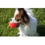 Jolly Pets Jumper, 4'', Orange, Large, Model Number: JTJJ04OR Jolly Pets Jumper, 4'', Orange, Large, Model Number: JTJJ04OR