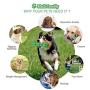 Girzey Dog Chew Toys for Aggressive Chewers Large Breed,Squeaky Dog Toy,Indestructible Medium/Large Dog Toys. Toothbrush Teeth Cleaning,Natural Rubber,(Green)