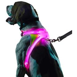 noxgear LightHound – Revolutionary Illuminated and Reflective Harness for Dogs Including Multicolored LED Fiber Optics (USB Rechargeable, Adjustable, Lightweight, Rainproof)