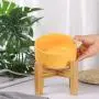 LIONWEI LIONWELI Ceramic Elevated Raised Cat Bowl with Wood Stand No Spill Pet Food Water Feeder Cats Small Dogs LIONWEI LIONWELI Ceramic Elevated Raised Cat Bowl with Wood Stand No Spill Pet Food Water Feeder Cats Small Dogs
