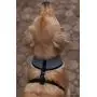 Pucci Paw Dog Harness No Pull Easy Walk for Dogs Cushioned Extra Padding Comfortable Mesh Pet Harness Breathable All Weather Light Weight Strong Puppy Small Medium Large Dog
