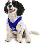 Gooby Dog Harness - Comfort X Head-in Small Dog Harness with Patented Choke-Free X Frame - Perfect on The Go No Pull Harness for Small Dogs or Cat Harness