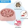 DotPet Slow Feeder Bowl, Fun Interactive Feeder Bloat Stop Dog Bowl Preventing Feeder Anti Gulping Drink Water Bowl Fan Shape Healthy Eating Diet for Pet Puppy
