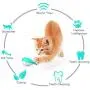 WZBP Cat Toys, Indoor Catnip Toys for Cats Silicone Fish cat Toothbrush Interactive chew Toy for pet Cats Suitable for All cat Species Dental Cleaning Care