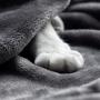 YINXUE 2 Pack Soft Pet Flannel Blanket with Cute 3D Paw Design, 30'' x 40'' Warm Dog Cat Sleep Mat Bed Cover