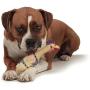 Charming Pet Squawkers - Latex Rubber Squawking Chicken Dog Toy
