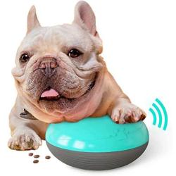 Lcybem Interactive Dog Toys - 3 in 1, Squeaky Food Dispensing Toy, IQ Treat Ball, Dog Squeaky Toy, Sound Puzzle Slow Food, Playing, Chasing, Chewing Indoor or Outdoor