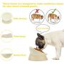 Petdoer Bulldog Bowl Slanted Tilted Elevated Raised Non Slip No Spill Food Water Pet Feeder Dish for Flat Faced Dogs, Frenchie, Pug, Cat, Puppy, Shih Tzu (White)