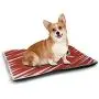 DayDayFun Shark Pet Training Mat Caution Shark Sign Sharp Teeth Animal Ocean Danger Do Not Swim Illustration Insulated Self-Heating Pet Mat Earth Yellow Grey DayDayFun Shark Pet Training Mat Caution Shark Sign Sharp Teeth Animal Ocean Danger Do Not Swim Illustration Insulated Self-Heating Pet Mat Earth Yellow Grey