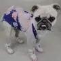 Bonario Dog Diapers Puppy Doggie Sanitary Panties Suspender for Female Small Girl Dogs with Tighten Strap Washable & Reusable for Pets (L(Chest17.7〃 Back13.7〃)) Bonario Dog Diapers Puppy Doggie Sanitary Panties Suspender for Female Small Girl Dogs with Tighten Strap Washable & Reusable for Pets (L(Chest17.7〃 Back13.7〃))