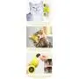 USWT Cat Toy Kitten Toys Cats Supplies, Interactive Puzzle Automatic Scratcher with Catnip Ball, Funny Feather Chase Hunting Toys for Indoor Kitty¡ USWT Cat Toy Kitten Toys Cats Supplies, Interactive Puzzle Automatic Scratcher with Catnip Ball, Funny Feather Chase Hunting Toys for Indoor Kitty¡