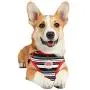 Puppia Oceane Harness C Puppia Oceane Harness C