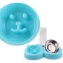 Creation Core Pet Slow Feeder Bowl with Automatic Water Dispenser and Stainless Steel Bowl for Small Medium Dogs Cats, Blue
