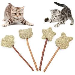 ocijf179 Cat Toy Pet Cat Kitten Star Claw Bear Head Shape Catnip Silvervine Molar Play Chew Toy - Bear Head