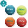 Outward Hound Squeaker Ballz & Tennis Ballz - Squeaking & Fetching Tennis Ball Dog Toys