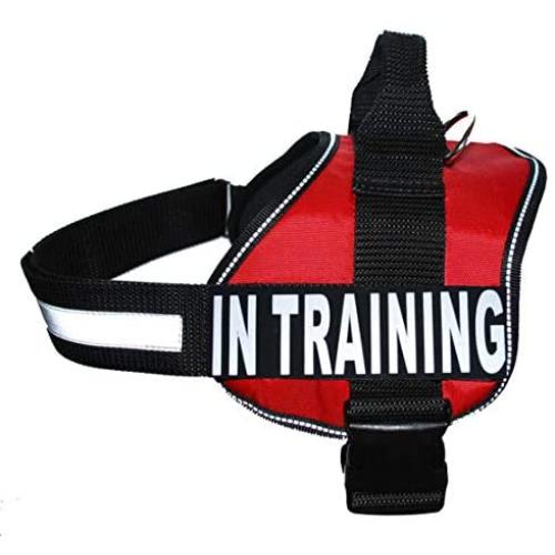 Service Dog Harness Vest Cool Comfort Nylon for Dogs Small Medium Large Girth, Purchase Comes with 2 in Training Reflective Patches. Please Measure Dog Before Ordering