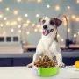 Crate Dog Bowl Removable Stainless Steel Water Food Feeder Bowls Cage Coop Cup for Cat Puppy Bird Pets (Large, Green) Crate Dog Bowl Removable Stainless Steel Water Food Feeder Bowls Cage Coop Cup for Cat Puppy Bird Pets (Large, Green)