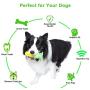 None/Brand Dog Toothbrush Chew Toy for Aggressive Chewers - Ugraded Dog Teeth Cleaning Squeaky Toys - Durable Dog Dental Chew Stick for Large/Medium Breed-Puppies-Pet