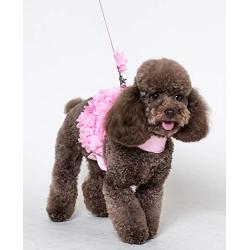 Dashin Dogz Pink Dog Harness and Leash Set for XSmall & Small Breeds Like Chihuahua, Teacups, Yorkys Puppy Harness