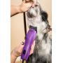 Wahl Professional Animal KM5 2-Speed Pet, Dog, and Horse Clipper Kit