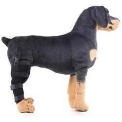 Alfie Pet - Shane Dog Right Rear Leg Hock Braces