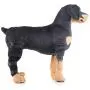 Alfie Pet - Shane Dog Right Rear Leg Hock Braces Alfie Pet - Shane Dog Right Rear Leg Hock Braces