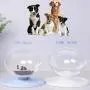 Cilkus  Cat Dog Bowls Elevated Cat Food Water Bowls 0/20°Tilted Raised Pet Feeder Bowl with Anti Slip Stand for Cats and Small Dogs 1pcs