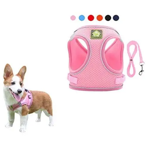 FEimaX Dog Harness and Leash Set, No-Pull Breathable Soft Mesh Puppy Vest Harness Reflective Adjustable Pet Harnesses for Small Medium Dogs and Cats - Outdoor Easy Control for Walking FEimaX Dog Harness and Leash Set, No-Pull Breathable Soft Mesh Puppy Vest Harness Reflective Adjustable Pet Harnesses for Small Medium Dogs and Cats - Outdoor Easy Control for Walking