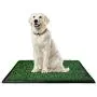 CHIFONG Dog Potty Pet Grass Pad 30'' x 20'' Dog Home Training Toilet Portable Relief System Grass Surface Dog Mat, Bite Resistant Turf Patch, Large Artificial Grass Turf Indoor Outdoor