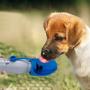 Old Scout Portable Water Bottle for Dogs, 27 oz Heavy Duty Stainless Steel Dog Water Bottle Lightweight and Convenient Water Dispenser for Travel or Home