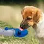 Old Scout Portable Water Bottle for Dogs, 27 oz Heavy Duty Stainless Steel Dog Water Bottle Lightweight and Convenient Water Dispenser for Travel or Home Old Scout Portable Water Bottle for Dogs, 27 oz Heavy Duty Stainless Steel Dog Water Bottle Lightweight and Convenient Water Dispenser for Travel or Home