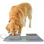 WANTRYAPET Collapsible Dog Bowl, Travel Dog Bowl with Carry Case, Folding Double Expandable, Portable Pet Bowl and Mat, for Cat or Dog, Perfect for Home, Travel, Walks and Camping