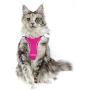 azuza Puppy Harness and Leash Set, Reflective Air Mesh Dog Vest Harness, All Weather Comfort Dog Harness for Small Dogs