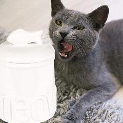 Creature Comforts Meow Treat Jar - White - Small