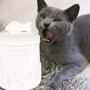 Creature Comforts Meow Treat Jar - White - Small