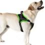 Golener Dog Harness No Pull, Reflective Puppy Harness with Led Light, Adjustable Dog Vest Harness, Soft Breathable Oxford Stylish Pet Harnesses with Easy Control Handle for Small/Medium/Large Dogs