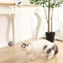 SUGN Automatic Pet Teasing Exercise Playing Hairball Ball Pet Supplies Cat Toy(Pink)