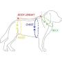 VIILER - 4 Pcs Reusable Dog Diapers and Belly Bands for Small Male Boy Dog Puppy (M: Adjustable 10.0''-11.0'')