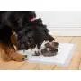 Hartz Home Protection Odor Eliminating Scented Dog Pads, Super Absorbent & Won’t Leak, Lavender Scent, Pad Size & Package Count Varies Hartz Home Protection Odor Eliminating Scented Dog Pads, Super Absorbent & Won’t Leak, Lavender Scent, Pad Size & Package Count Varies