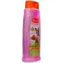 Hartz Groomers Best 3 in 1 Conditioning Shampoo for Dogs 18 oz (Pack of 3) Hartz Groomers Best 3 in 1 Conditioning Shampoo for Dogs 18 oz (Pack of 3)