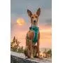 Embark Sports Dog Harness, Light and Breathable Design - Easy On and Off, No Pull Training, Size Adjustable, Non Choke with Handle for Control Embark Sports Dog Harness, Light and Breathable Design - Easy On and Off, No Pull Training, Size Adjustable, Non Choke with Handle for Control